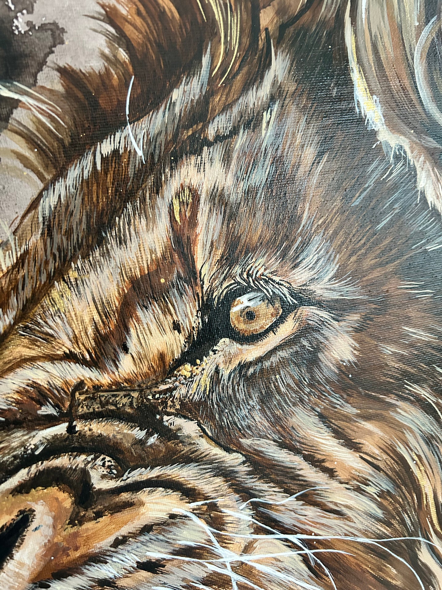 Lion wall art prints